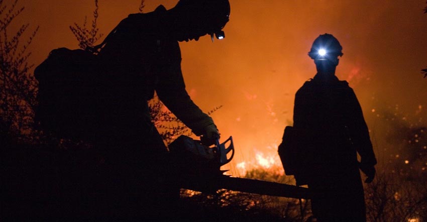 Important Safety Measures To Take While Using The Chain Saw