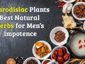 Aphrodisiac Plants Best Natural Herbs for men’s Impotence