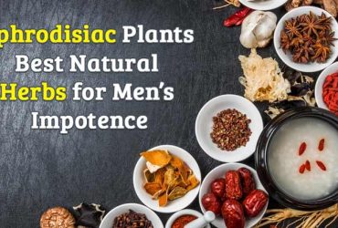 Aphrodisiac Plants Best Natural Herbs for men’s Impotence