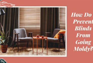 How Do I Prevent Blinds From Going Moldy?