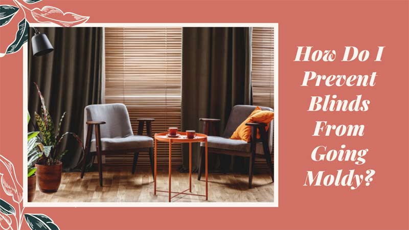 How Do I Prevent Blinds From Going Moldy?