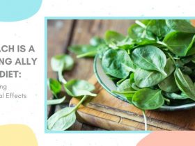 Spinach Is A Strong Ally On A Diet: Introducing Nutritional Effects
