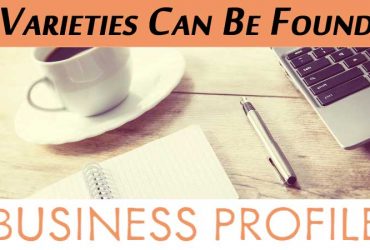 What Are The Varieties Can Be Found In The Profile Of Business?