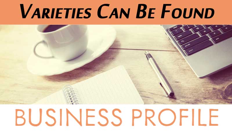 What Are The Varieties Can Be Found In The Profile Of Business?