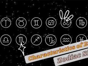 Characteristics of Each Zodiac Sign