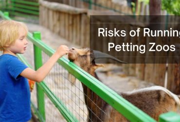 Risks of Running Petting Zoos