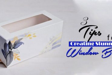 3 Tips for Creating Stunning Window Boxes3 Tips for Creating Stunning Window Boxes3 Tips for Creating Stunning Window Boxes3 Tips for Creating Stunning Window Boxes3 Tips for Creating Stunning Window Boxes3 Tips for Creating Stunning Window Boxes3 Tips for Creating Stunning Window Boxes