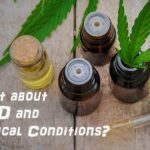 THE HISTORY OF THE HEMP PLANT