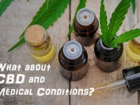 THE HISTORY OF THE HEMP PLANT