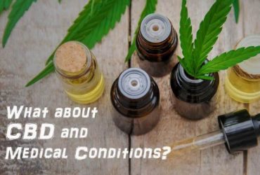 THE HISTORY OF THE HEMP PLANT