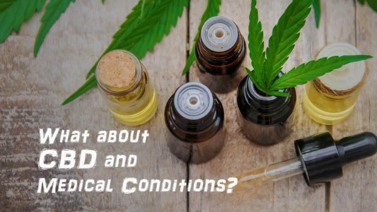 THE HISTORY OF THE HEMP PLANT