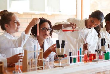 Why is the chemical industry indispensable?