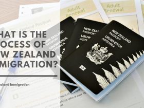 What Is the Process of New Zealand Immigration?