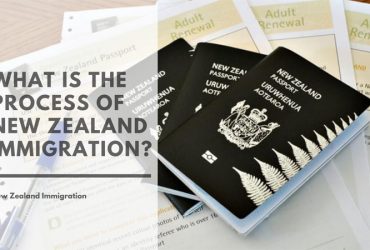 What Is the Process of New Zealand Immigration?