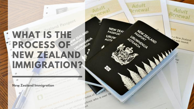 What Is the Process of New Zealand Immigration?