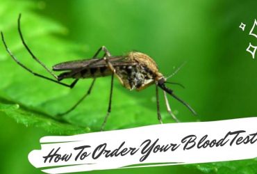 How To Order Your Blood Test?