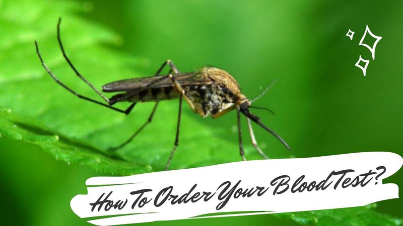 How To Order Your Blood Test?