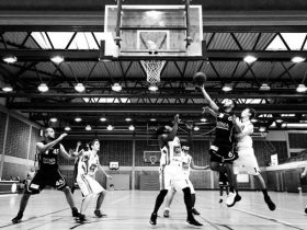 A beginner’s guide to the anime world