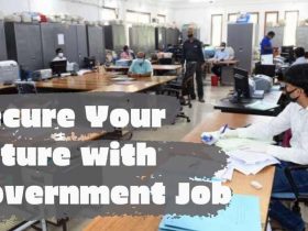 Secure Your Future with Government Job