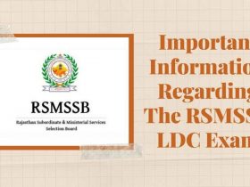 Important Information Regarding the RSMSSB LDC Exam, Answer Key, Syllabus, and More.