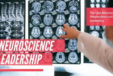 The Link Between Neuroscience and Leadership