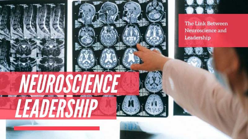 The Link Between Neuroscience and Leadership
