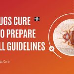 Bed Bugs Cure