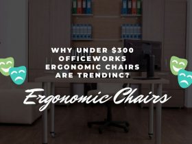 Why Under $300 Officeworks Ergonomic Chairs Are Trending?