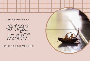 How to get rid of bugs fast here 10 natural methods?