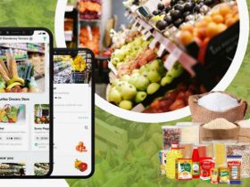 Everything About On Demand Grocery Delivery App Development