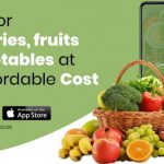 Shop for Groceries, Fruits & Vegetables at an affordable cost
