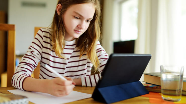 What is the justification for Python being the best option for AI?