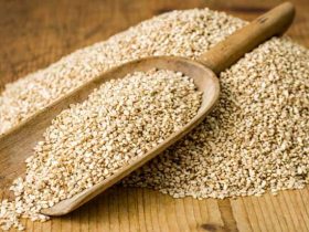 Top Health Recipes And Benefits Of Sesame Seeds