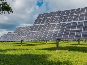 Top Solar States Leading the Way in 2021