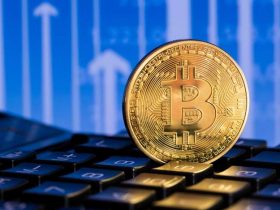 How Many Different Types of Cryptocurrency Are There?