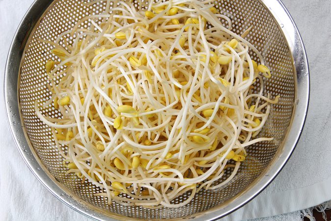 soybean sprouts