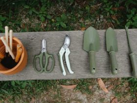 How to build a gardening website to sell gardening tools online?