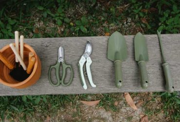 How to build a gardening website to sell gardening tools online?