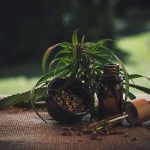 CBD Oil Vs. CBD Tincture: What's the Difference?