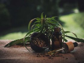 CBD Oil Vs. CBD Tincture: What's the Difference?