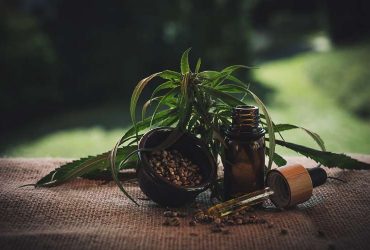 CBD Oil Vs. CBD Tincture: What's the Difference?