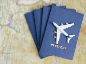 Is Passport Verification Documents Mandatory To Diminish Identity Theft