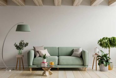 Indoor Plants for your Interior Design