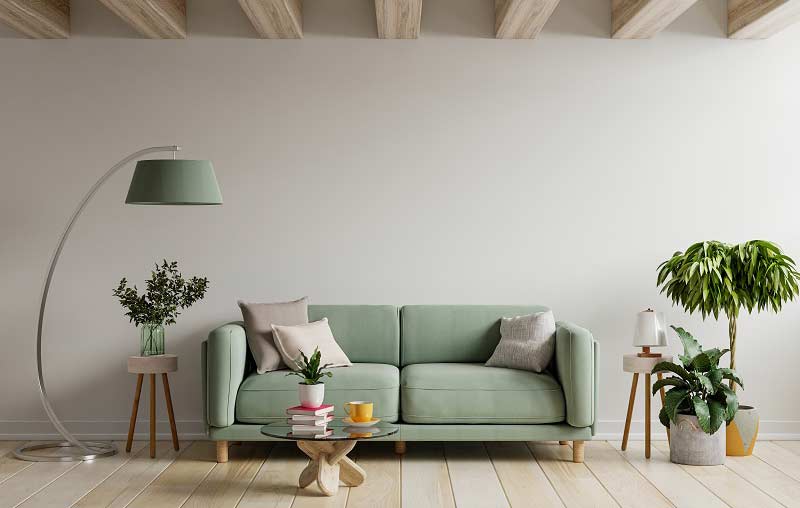 Indoor Plants for your Interior Design