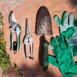 Dig It ‘Til You Make It: 9 Basic Tools You'll Need For Gardening