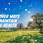 Discover Ways To Maintain Tree Health