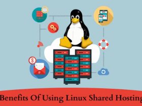 Linux Shared Hosting The Most Suitable Option