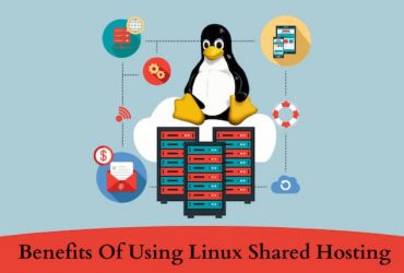 Linux Shared Hosting The Most Suitable Option