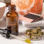 What Do Pet Owners Have to Know About CBD Oil For Dogs?