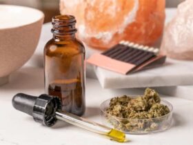 What Do Pet Owners Have to Know About CBD Oil For Dogs?